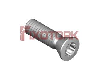 PARAFUSO TORX MOD B 35L12-B5515/24