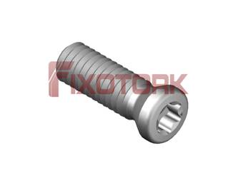 PARAFUSO TORX MOD A 40L13-A5515