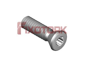 PARAFUSO TORX MOD E 40L14-E6415