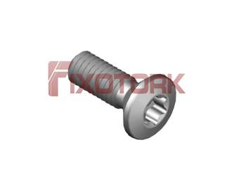 PARAFUSO TORX MOD G 35L10-G6815