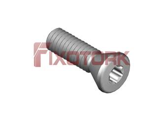 PARAFUSO TORX MOD E 40L14-E6915