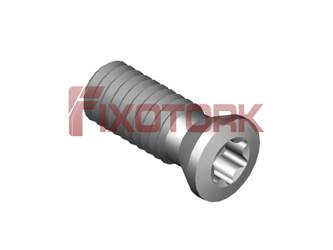 PARAFUSO TORX MOD B 35L90-B4710