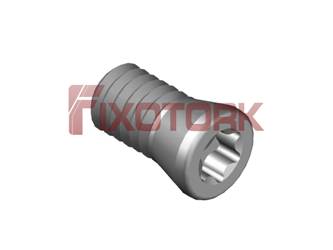 PARAFUSO TORX MOD B 25L50-B3507