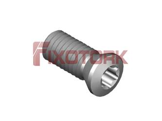 PARAFUSO TORX MOD A 50L12-A6920