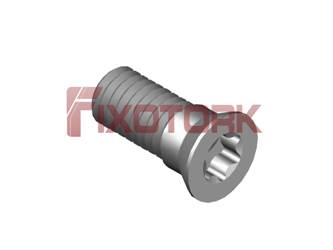 PARAFUSO TORX MOD Z 45L11-Z6920