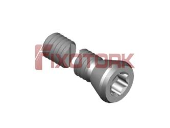 PARAFUSO TORX MOD G 40L29-G6720