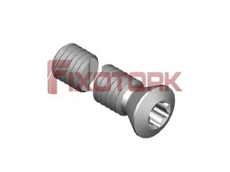 PARAFUSO TORX MOD A 50L19-A7220