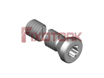 PARAFUSO TORX MOD A 30L25-A4509