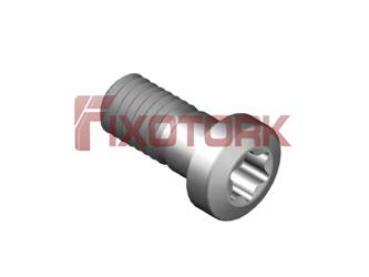 PARAFUSO TORX MOD Z 50L14-Z8025