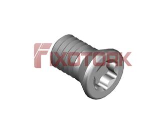 PARAFUSO TORX MOD B 35L60-B5215