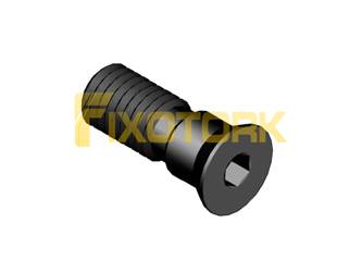 PARAFUSO ALLEN MOD WA 80L22-WA11A40