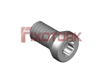 PARAFUSO TORX MOD B 30L66-A4509