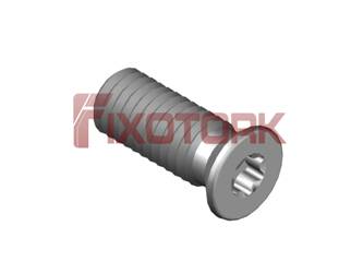 PARAFUSO TORX MOD B 50L13-B7015