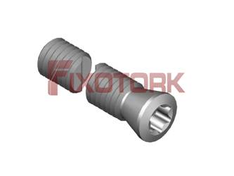 PARAFUSO TORX MOD B 50L22-B6320