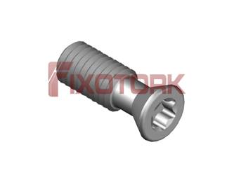 PARAFUSO TORX MOD N 50L14-N6620