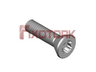 PARAFUSO TORX MOD B 30L12-B5715