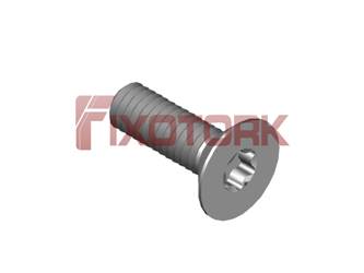 PARAFUSO TORX MOD W 30L80-W6009
