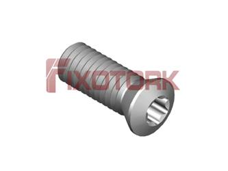 PARAFUSO TORX MOD B 60L16-B8525