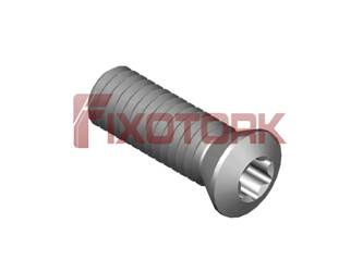 PARAFUSO TORX MOD B 60L18-B8525