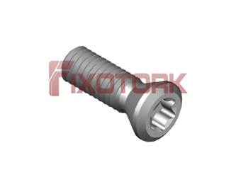 PARAFUSO TORX MOD B 35L11-B5715