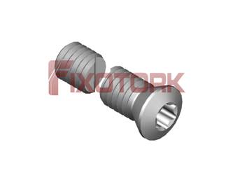 PARAFUSO TORX MOD B 60L25-B8525