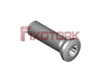 PARAFUSO TORX MOD A 45L16-K6920