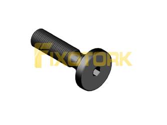 PARAFUSO ALLEN MOD P 50L21-P11A25