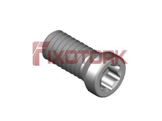 PARAFUSO TORX MOD B 25L61-B3508