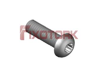 PARAFUSO TORX MOD L 30L12-L5509