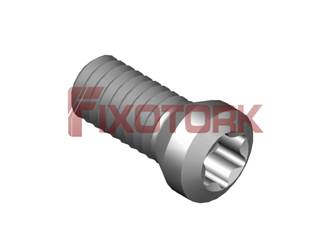 PARAFUSO TORX MOD A 25L70-A3708