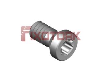 PARAFUSO TORX MOD B 22L50-B3507
