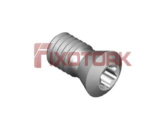 PARAFUSO TORX MOD A 60L12-A8525