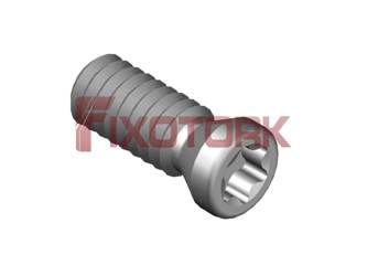 PARAFUSO TORX MOD A 20L58-A2606