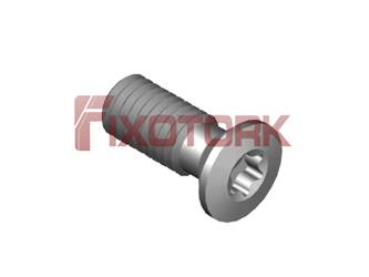PARAFUSO TORX MOD G 50L12-G8020