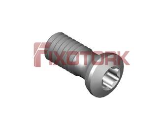 PARAFUSO TORX MOD G 40L10-G6115
