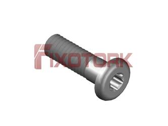 PARAFUSO TORX MOD R 40L14-R7315