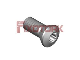 PARAFUSO TORX MOD H 40L10-H6915