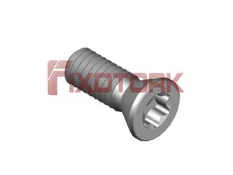 PARAFUSO TORX MOD W N6-32L94-W5615