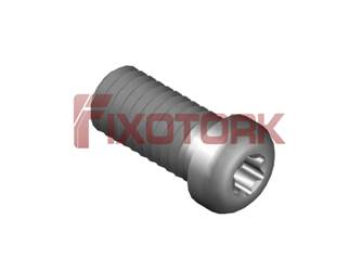 PARAFUSO TORX MOD L 60L15-L8220