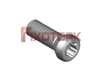 PARAFUSO TORX MOD A 35L10-A5015