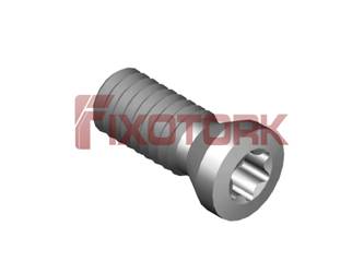 PARAFUSO TORX MOD A 25L70-A3507