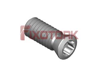 PARAFUSO TORX MOD E 40L10-E5015
