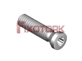 PARAFUSO TORX MOD A 25L10-A3507