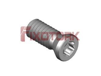 PARAFUSO TORX MOD B 40L10-B5515