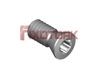 PARAFUSO TORX MOD W 25L50-W3607