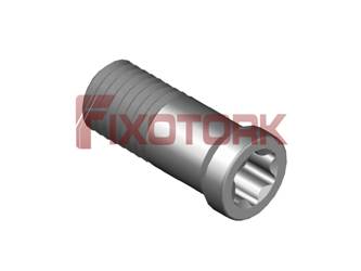 PARAFUSO TORX MOD N 25L64-N6007