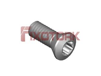 PARAFUSO TORX MOD B 35L95-B6015