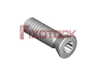PARAFUSO TORX MOD W 25L80-W3607