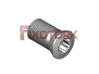 PARAFUSO TORX MOD B 50L95-B6420