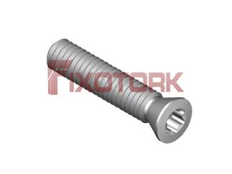 PARAFUSO TORX MOD W 25L12-W3607